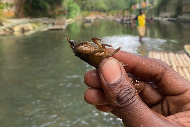 Great River Rafting - Limestone Foot Massage and ATV Rides From Montego Bay - How to Plan So the Day Runs Smoothly