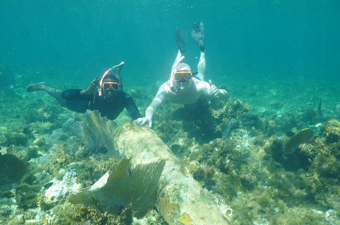 Guided Snorkeling at the Anchor and Cannon Reef in Negril - Group size and comfort: what up to 30 means in real life