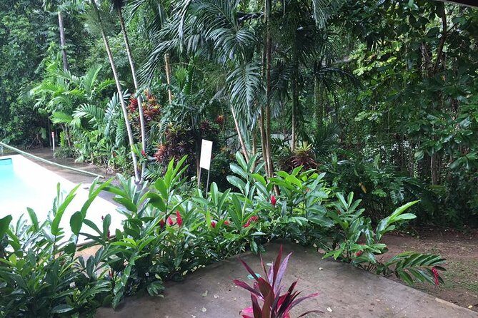 Half-Day Private Martha Brae Rafting Tour from Montego Bay - Scotchies Drax Hall Stop: Jerk Food Time Without Lunch Included