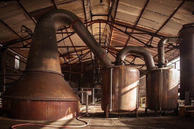 Hampden Estate Rum Tour and Lunch from Falmouth - From Falmouth to Hampden in Just Four Hours