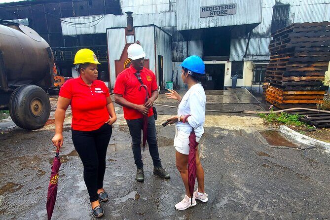 Hampden Estate Rum Tour and Lunch from Montego Bay - Authentic Jamaican lunch at the estate: food you’ll feel in your next day