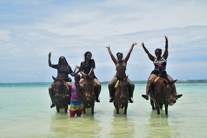 Horse Back Riding and Blue Hole From Montego Bay - Blue Hole Waterfalls: Swim, Spectate, and Optional Cliff Thrills