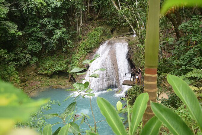 Horse Back Riding and Blue Hole From Montego Bay - Horseback Riding to the Beach (and Yes, the Water Swim)