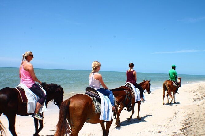Horse Back riding Excursion - Key things to know before you go