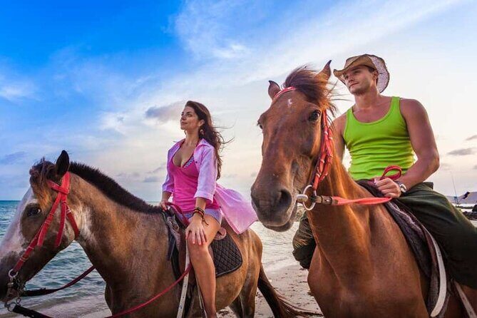 Horse Back riding Excursion - Transition to the coast: when the tour turns from trees to sea