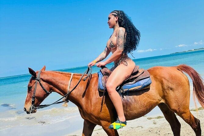 Horseback Ride and Swim Experience Montego with Transportation - Key highlights worth knowing before you go