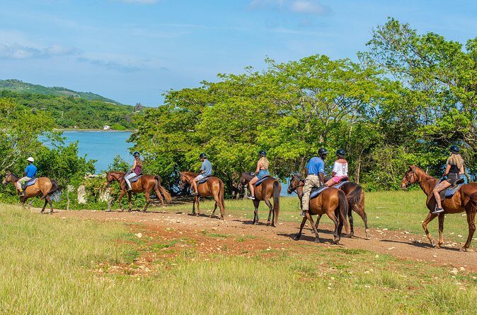 Horseback Ride and Swim from Ocho Rios - Who Should Book This Horseback Ride and Swim