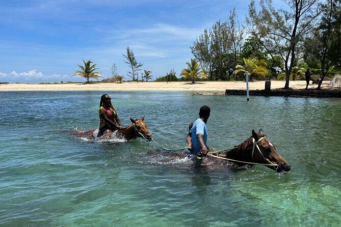 Horseback Ride and Swim Guided Tour from Montego Bay - What You’re Actually Doing Here: Ride First, Then Swim