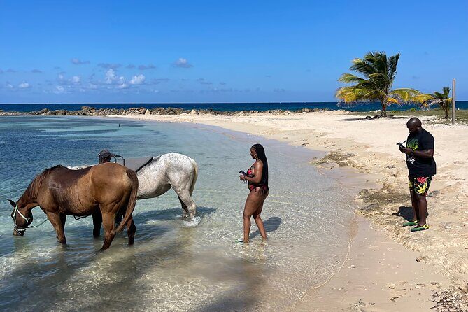 Horseback Ride and Swim Guided Tour from Montego Bay - Back to the Beach: Bareback Swimming in Clear Caribbean Water