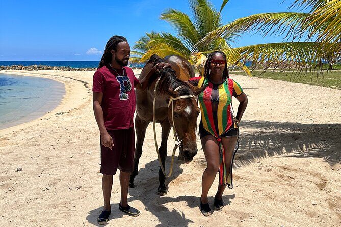 Horseback Ride and Swim Guided Tour from Montego Bay - Horse Welfare and Guide Attitude: The Difference Between Fun and Stress
