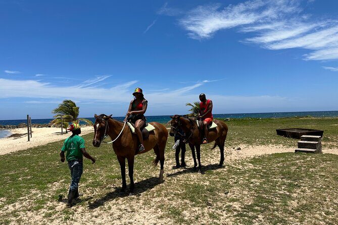 Horseback Ride and Swim Guided Tour from Montego Bay - Price and Value: Is $160 Worth It From Montego Bay?