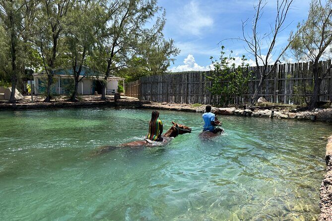 Horseback Ride and Swim Guided Tour from Montego Bay - Timing, Weather, and What to Wear in Real Life