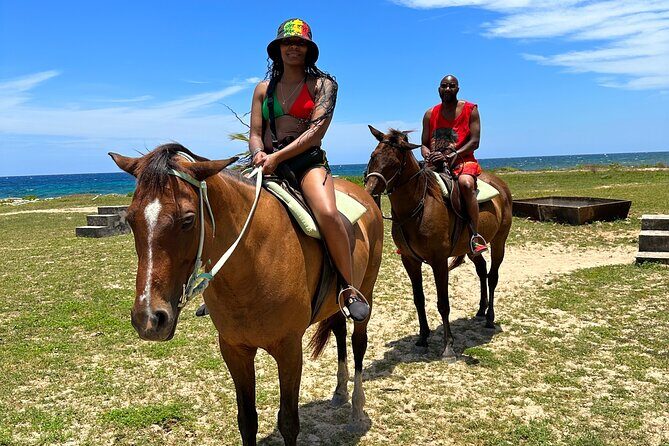 Horseback Ride and Swim Guided Tour from Montego Bay - The Countryside Ride: Calm Farms, Local Stories, and a Humored Guide