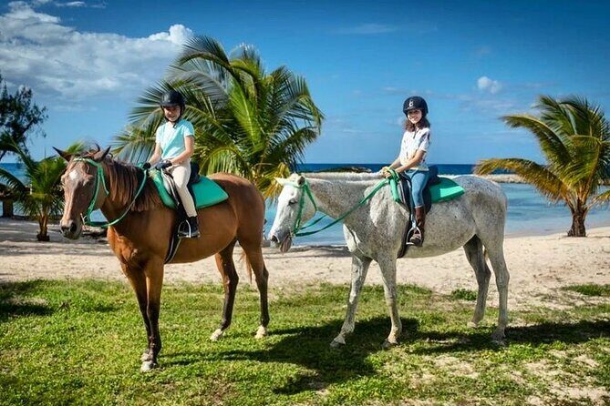 Horseback Ride and Swim Jamaica - Why This Montego Bay Ride Ends in the Water