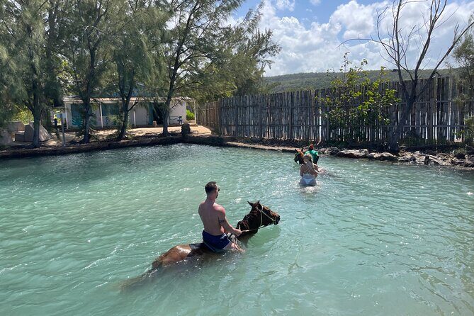 Horseback Ride and Swim Tour In Montego Bay - Swimming with the horse: the best kind of wow factor