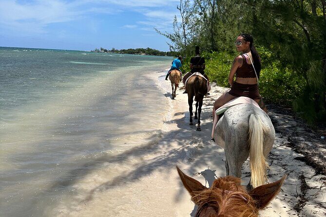 Horseback Ride and Swim Tour In Montego Bay - Pickup, timing, and why the schedule matters