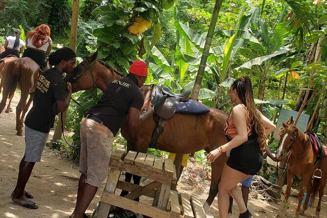 Horseback 'Ride N Swim' & Dunns River Falls from Montego Bay - Dunn’s River Falls and park time: how to enjoy it without rushing