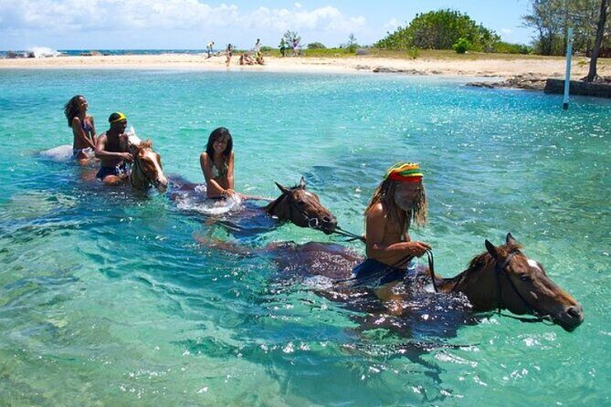 Horseback Ride & Swim Jamaica/Montego Bay - Key Highlights Before You Go
