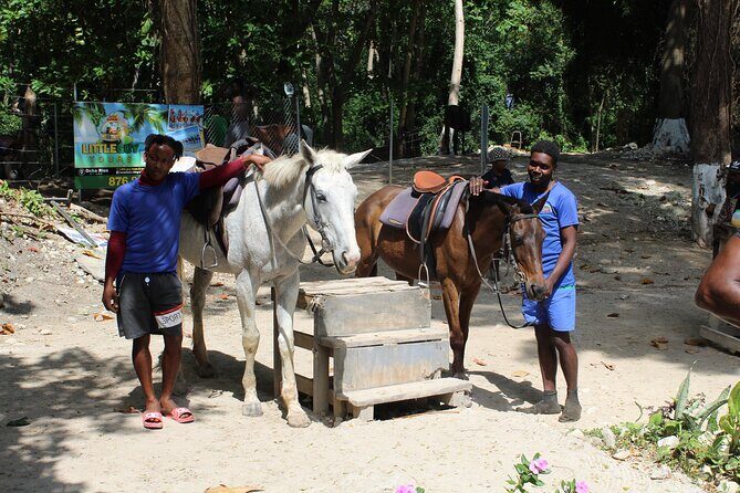 Horseback Ride & Swim Jamaica/Montego Bay - The Tropical Trail Ride: Coastline Views On Horseback
