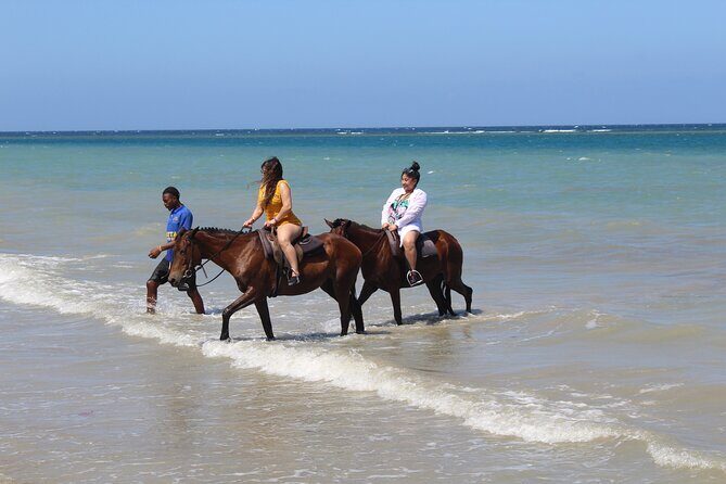 Horseback Ride & Swim Jamaica/Montego Bay - Down To The Water: The Swim Part and What To Expect