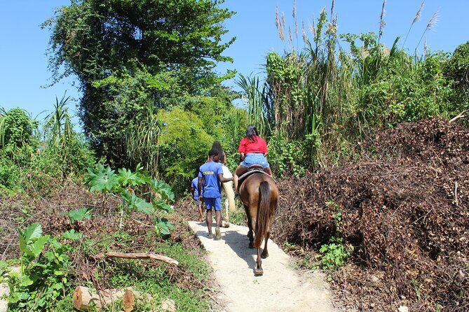 Horseback Ride & Swim Jamaica/Montego Bay - Guides, Drivers, and Photo Support (Odain and the On-The-Ground Team)