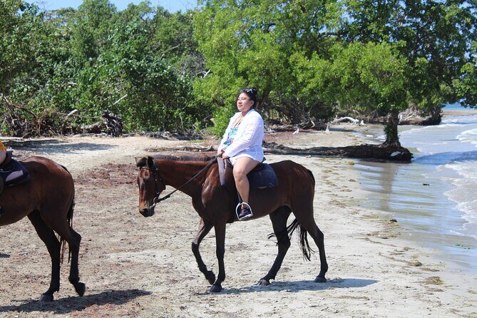 Horseback Ride & Swim Jamaica/Montego Bay - Price and Value: What $150 Buys in Real Time