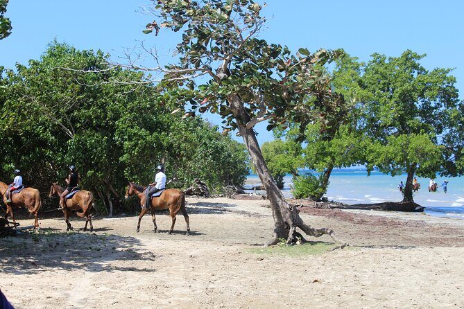 Horseback Ride & Swim Jamaica/Montego Bay - What To Bring (and What To Skip) for a Horse + Swim Day