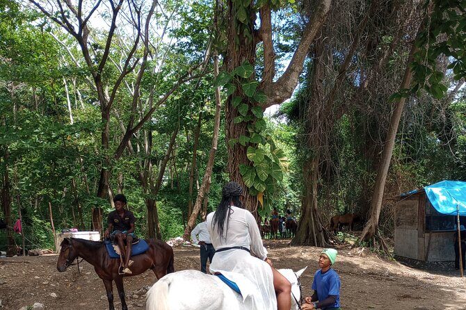 Horseback riding, Blue hole or Dunn's River Combo - Blue Hole: the short hike to secret falls and the high-adrenaline water