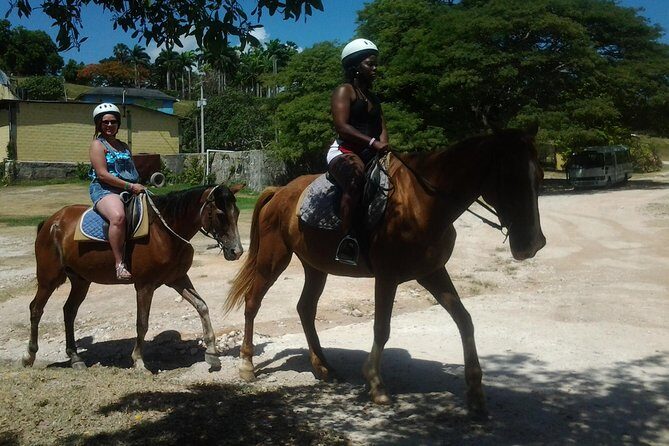 Horseback Riding Dunn's River Falls Adventure from Montego Bay - Key Highlights You’ll Actually Care About