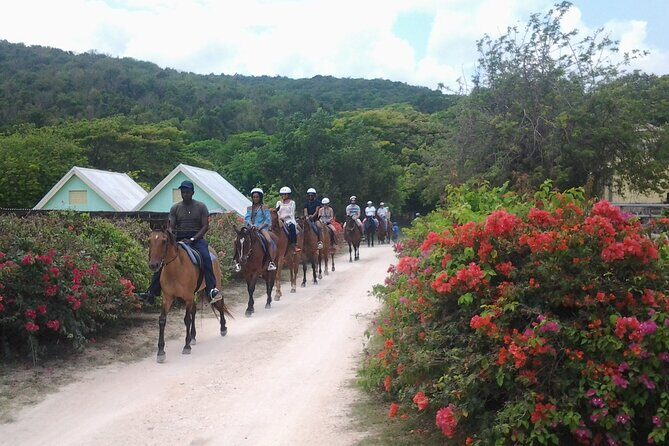 Horseback Riding Dunn's River Falls Adventure from Montego Bay - Weather, Comfort, and the Real-World Horse Care Question