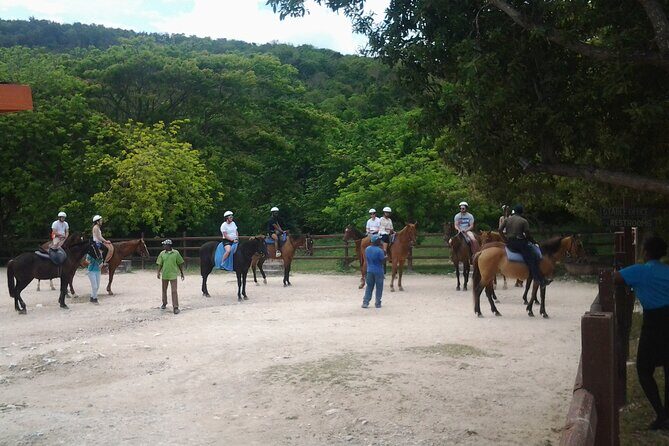 Horseback Riding Dunn's River Falls Adventure from Montego Bay - Who Should Book This Horseback-and-Falls Combo?