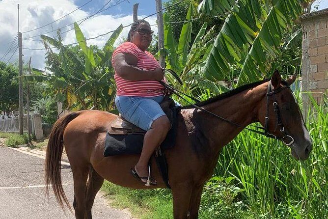 Horseback Riding from Montego Bay - Price and Value: Is $200 a Fair Deal?