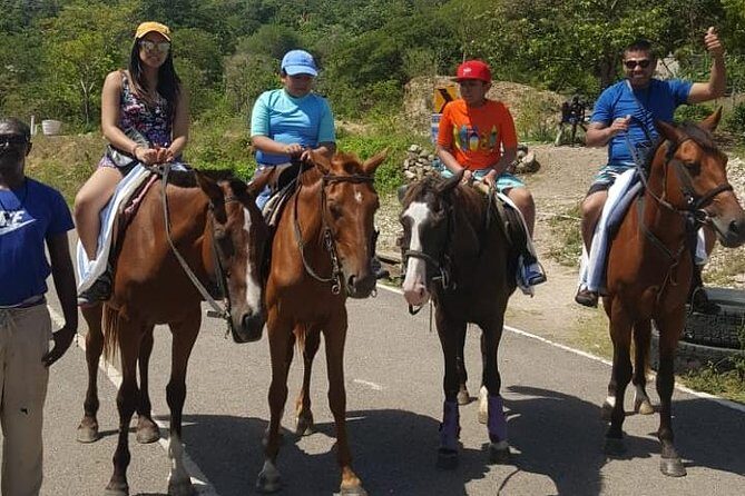 Horseback Riding from Montego Bay - Photos, Gifts, and What to Expect About Purchases