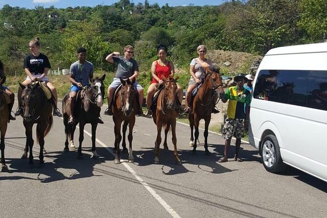 Horseback Riding from Montego Bay - Comfort, Cars, and Pickup Smoothness