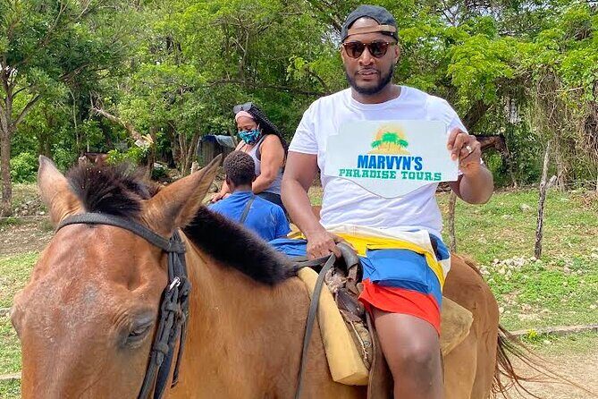 Horseback Riding in the ocean & Bamboo Rafting from Ocho Rios - Getting There: The Air-Conditioned Van Experience