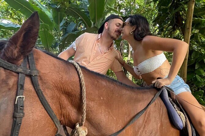 Horseback Riding In The Ocean from Montego Bay Private Transfer - What the Ride Feels Like: Trails, Horses, and Time Near the Water