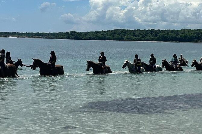 Horseback Riding in the Ocean from Ocho Rios & Runaway Bay - How the Ocho Rios pickups keep your day moving