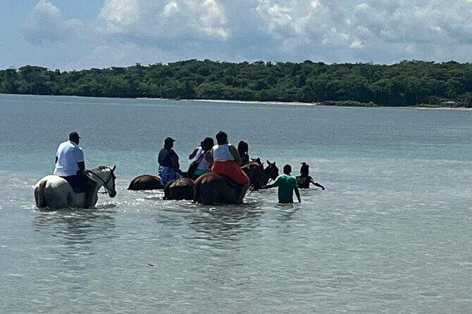 Horseback Riding in the Ocean from Ocho Rios & Runaway Bay - The drive: Jamaican history and culture on the way