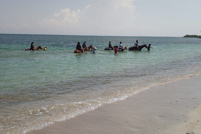 Horseback Riding plus Dunns River Falls Combo Private Tour - St Ann’s Bay horseback riding: what the one-hour ride feels like