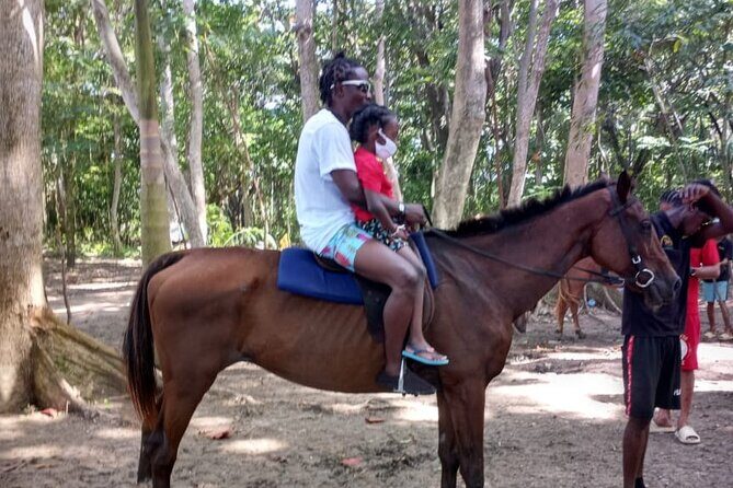 Horseback Riding plus Dunns River Falls Combo Private Tour - Who should book this tour (and who should think twice)