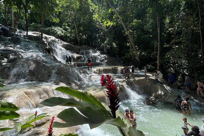Horseback Riding/Swimming and Dunn's River from Ocho Rios - Comfort tips that actually matter on this tour