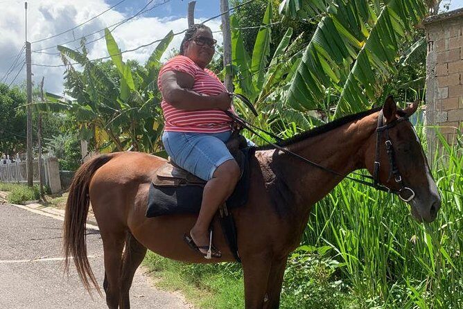 Hour Horseback Riding Guided Tour from Runaway Bay - The Trail Toward the Beach: What the Route Adds Beyond the Ride