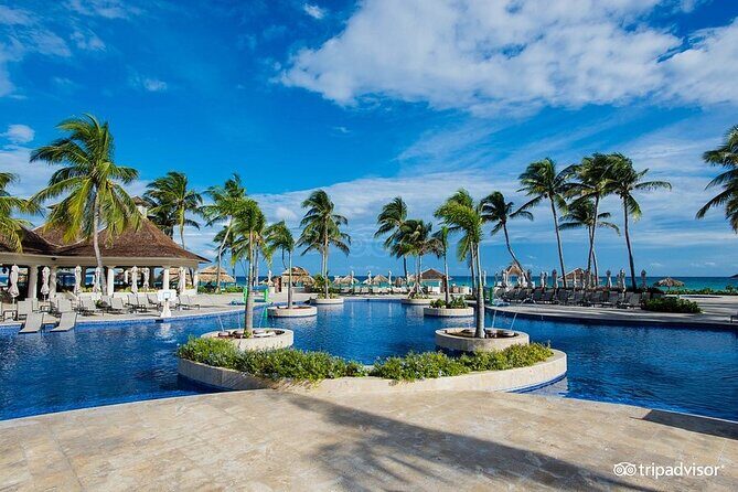 Hyatt Zilara Rose Hall Resort Private Airport Transfer - What to Do Once You Land: A Simple Checklist That Works