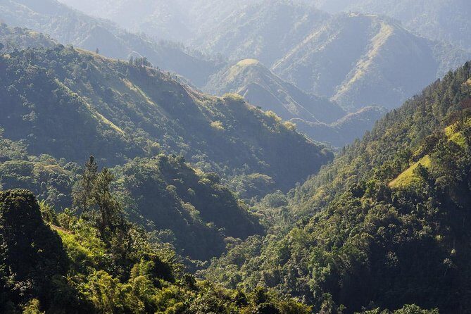 Jamaica Blue Mountain Guided Nature Tour - Key things to know before you go