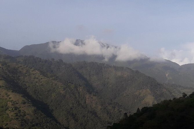 Jamaica Blue Mountain Guided Nature Tour - Kingston to the Blue Mountains: what the drive is really like