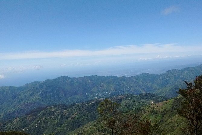 Jamaica Blue Mountain Guided Nature Tour - UNESCO park grounds and your 2-hour window for hiking and bird-watching