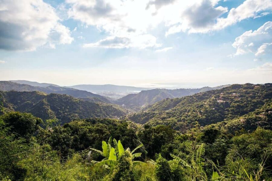 Jamaica: Blue Mountains Full Day Tour with Brunch & Lunch - Coffee Farm Visit: Seeing Blue Mountain Beans Up Close