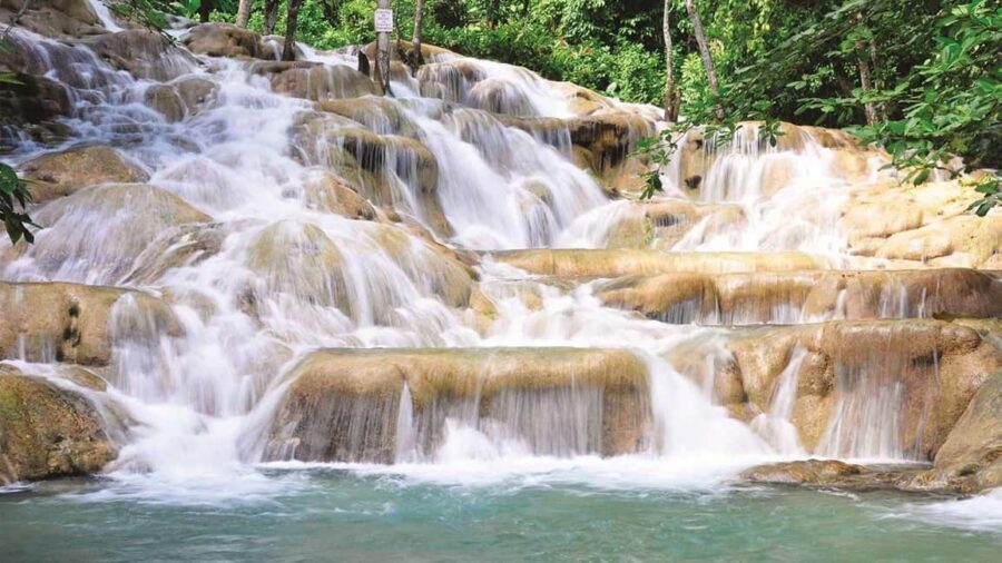Jamaica: Bob Marley, Dunn's River Falls and Luminous Lagoon - The luminous lagoon at night: why it glows when you stir it