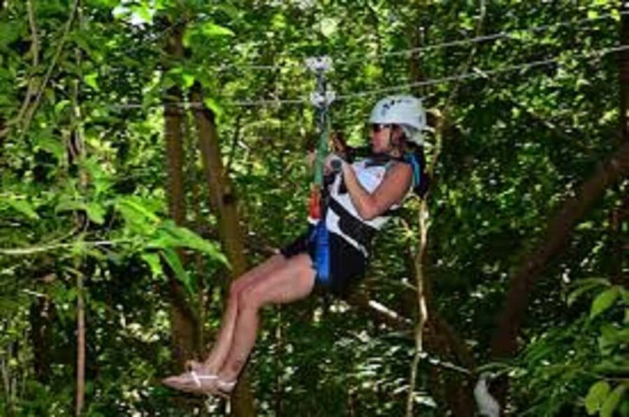 Jamaica Bobsled and Zip Line Adventure Tour - Key highlights I think you’ll care about