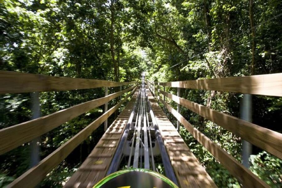 Jamaica Bobsled and Zip Line Adventure Tour - Getting To Mystic Mountain From Your Hotel In Comfort